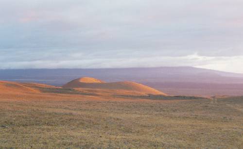 Dry Grass Plains