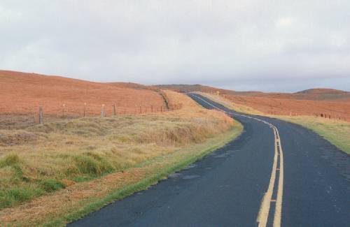 Winding Road