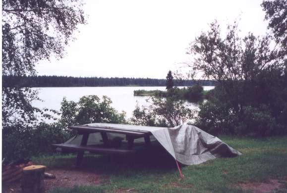 camp.jpg