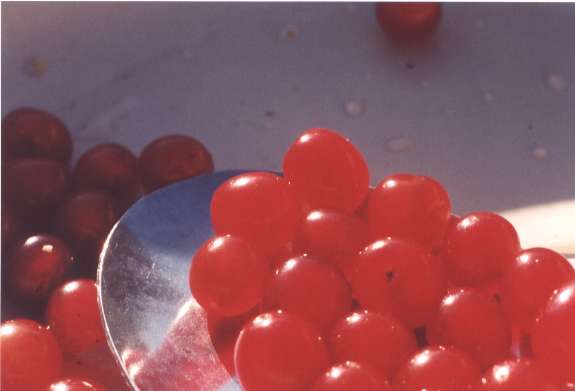 cherries.jpg