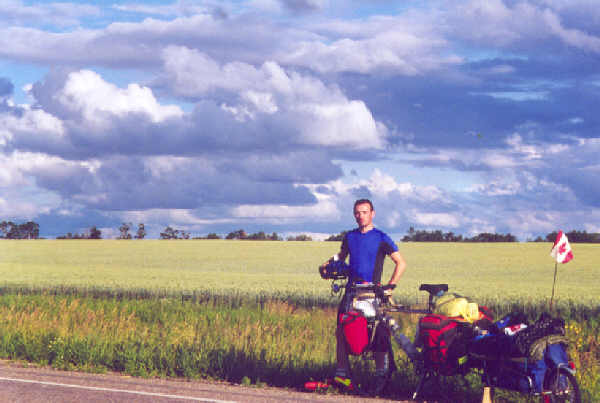 field.jpg