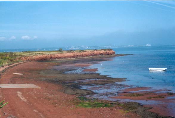 peibeach.jpg