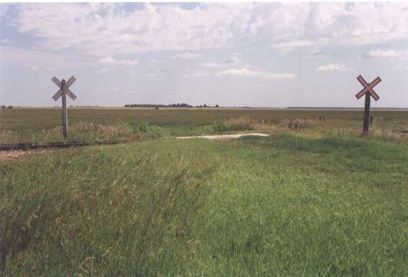 tracks1.jpg