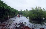 Flood