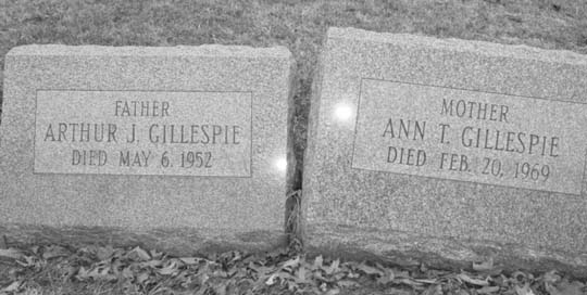 artanngillespie.jpg