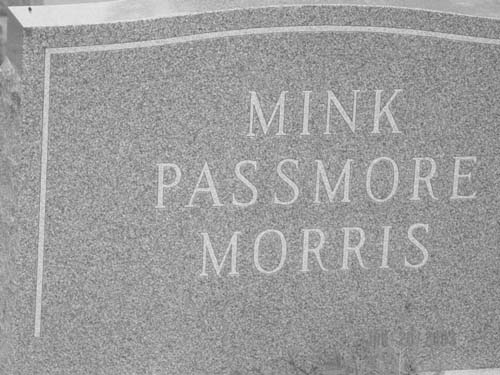 minkmorpassfront.jpg