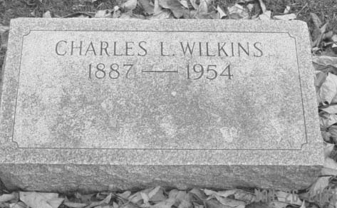 wilkins.jpg