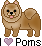 pom