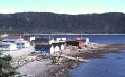 Lark Harbor, Newfoundland