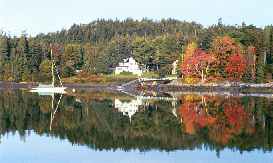 Fall in Maine
