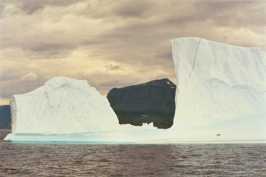 Icebergs outside Anchorstock Bight