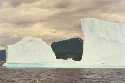 Icebergs outside Anchorstock Bight