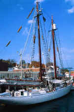 s/v Bowdoin