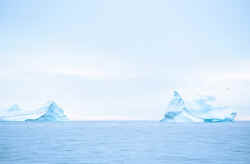 Icebergs off Hebron, Labrador