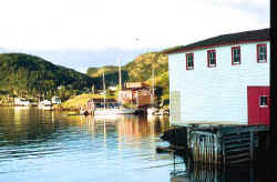 Moreton�s Harbour, Newfoundland