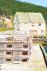 Moreton�s Harbour, Newfoundland