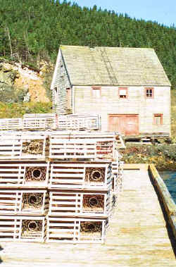 Moreton�s Harbour, Newfoundland