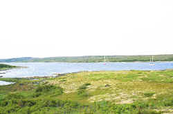 Tamara & Rosita, Curlew Harbour, Labrador