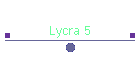 Lycra 5