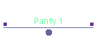 Panty 1