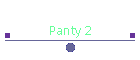 Panty 2