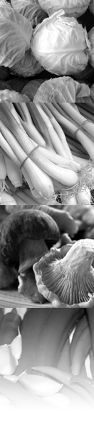 Picture of vegetables