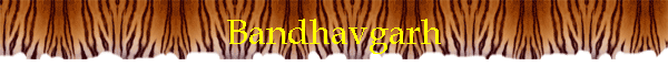 Bandhavgarh