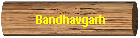 Bandhavgarh