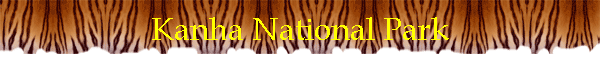 Kanha National Park