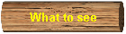 What to see