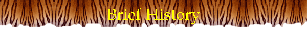 Brief History