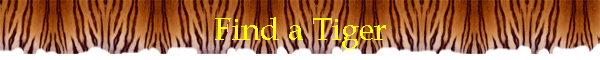 Find a Tiger