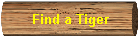 Find a Tiger