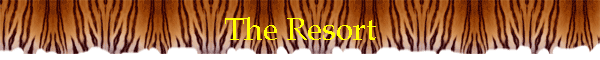 The Resort