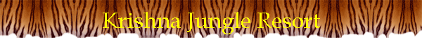Krishna Jungle Resort
