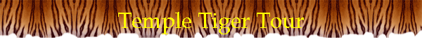 Temple Tiger Tour