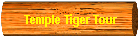Temple Tiger Tour
