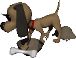 Bone! Bone! Must find Bone!!
