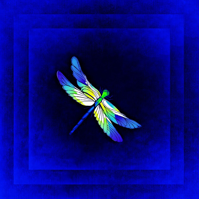 Dragonfly