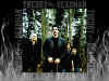 Theory of a Deadman pic 2.JPG (312596 bytes)