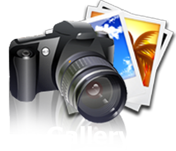 Let's go to my Picture Gallery SLIDESHOW!