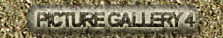 Picture Gallery 4