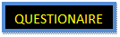 Text Box: QUESTIONAIRE
