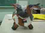 catfront