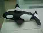 kwhale