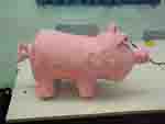 pigside