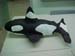 kwhale