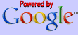 Google Search Engine