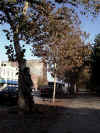 Fall00001.JPG (146637 bytes)