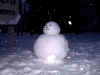 snow02.JPG (30312 bytes)